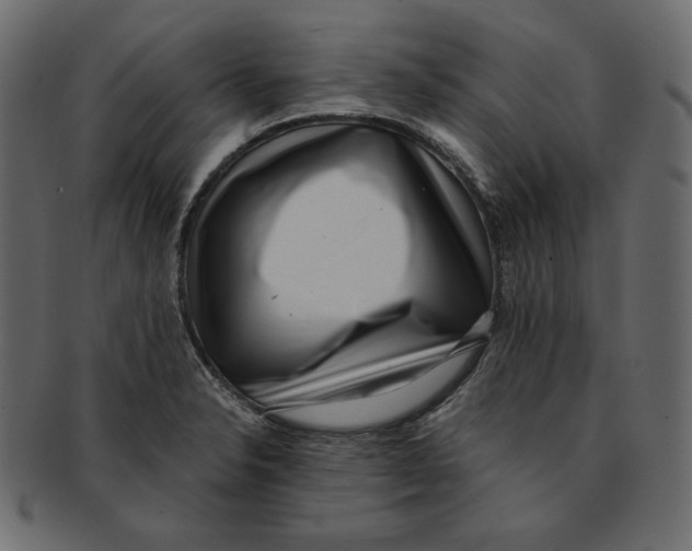X0000091921326200710031031