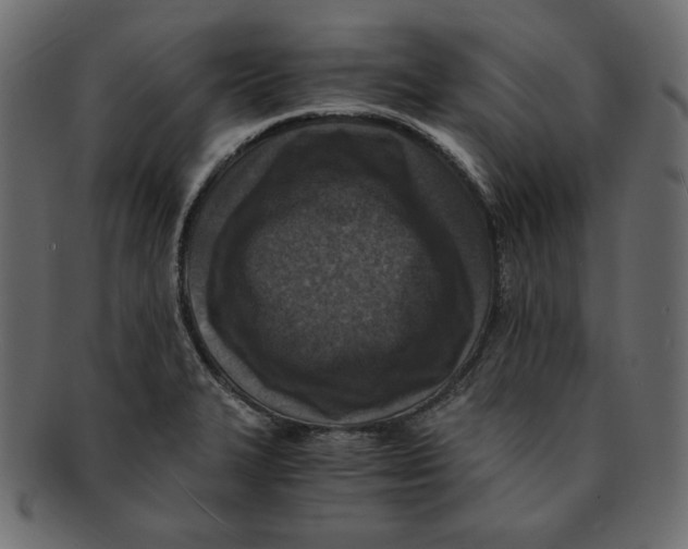 X0000091921327200710031031