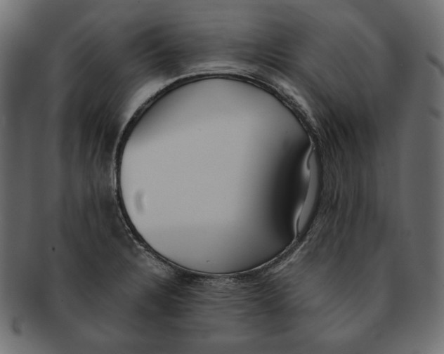 X0000091921328200710031031