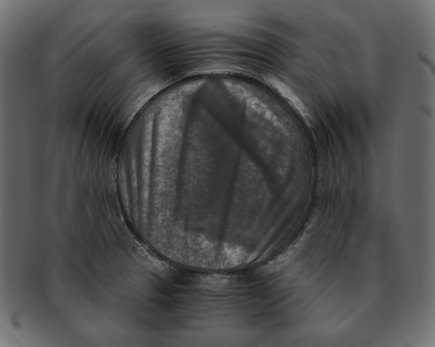 X0000091921329200710031031