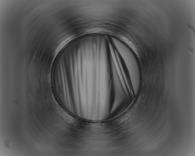 X0000091921330200710031031