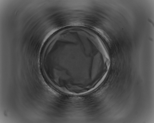 X0000091921331200710031031