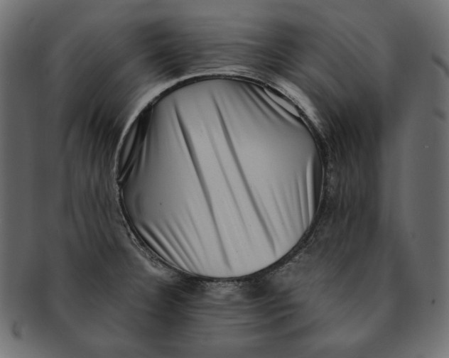 X0000091921332200710031031