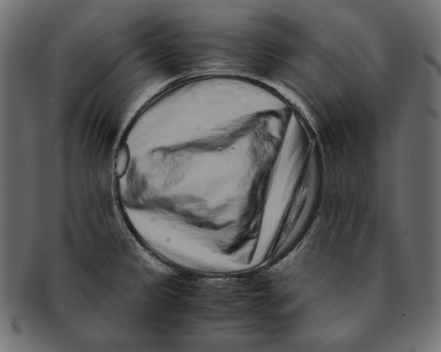 X0000091921333200710031031
