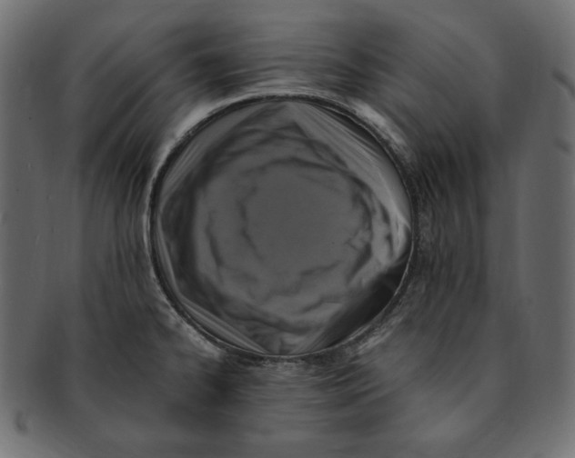 X0000091921334200710031031