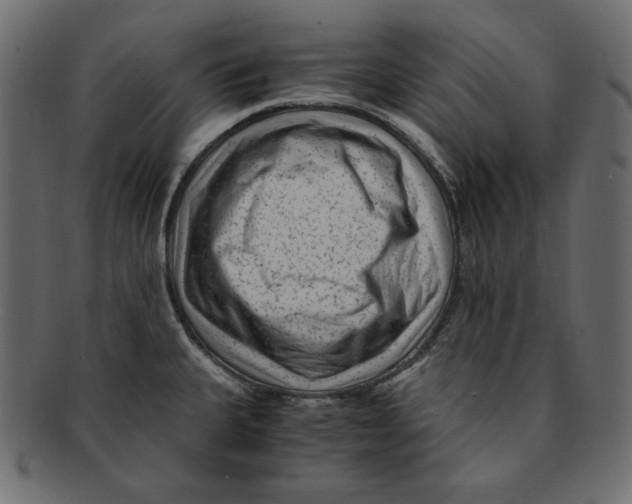 X0000091921335200710031031