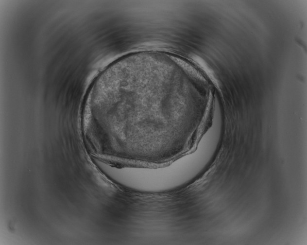 X0000091921336200710031031