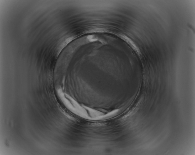 X0000091921337200710031031