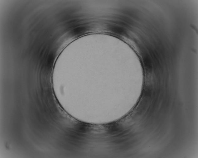 X0000091921338200710031031
