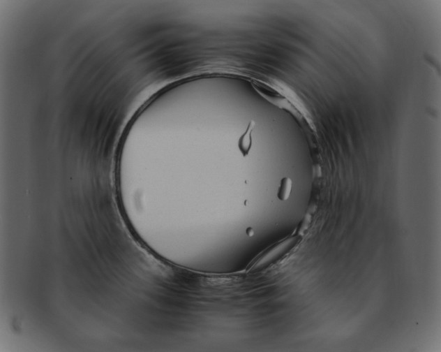X0000091921339200710031031