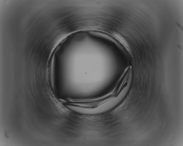 X0000091921340200710031031