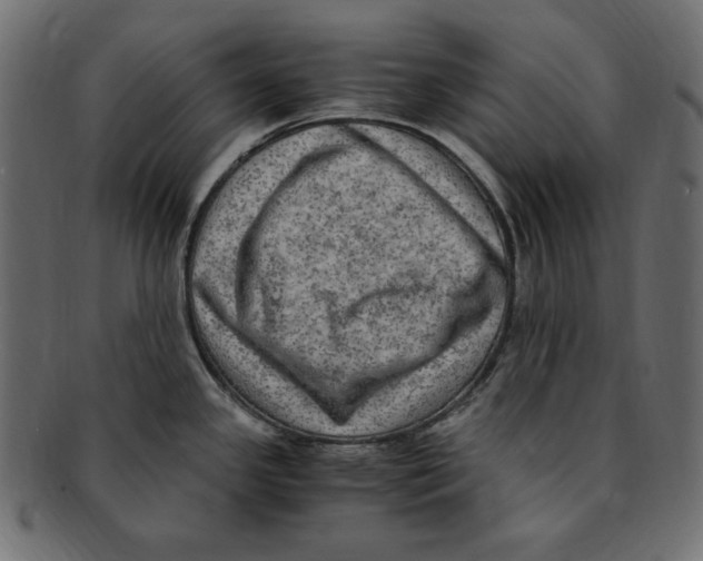 X0000091921341200710031031