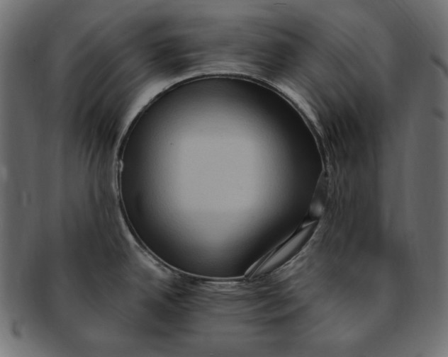 X0000091921342200710031031