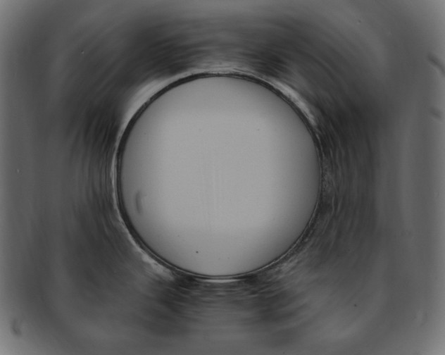 X0000091921343200710031031
