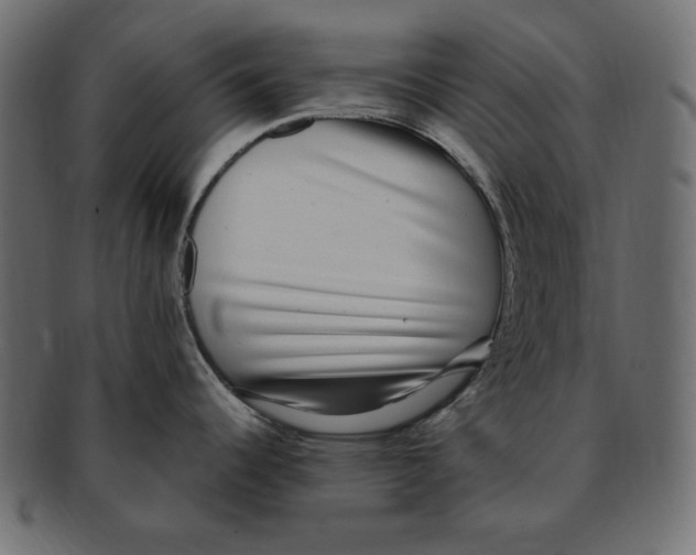X0000091921344200710031031