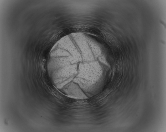 X0000091921346200710031030