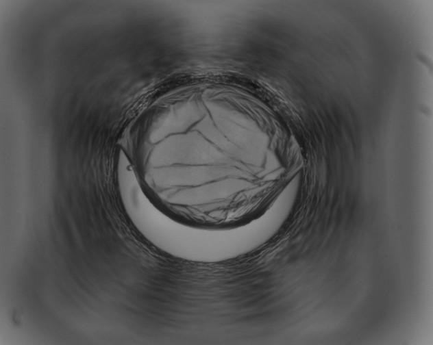 X0000091921348200710031030
