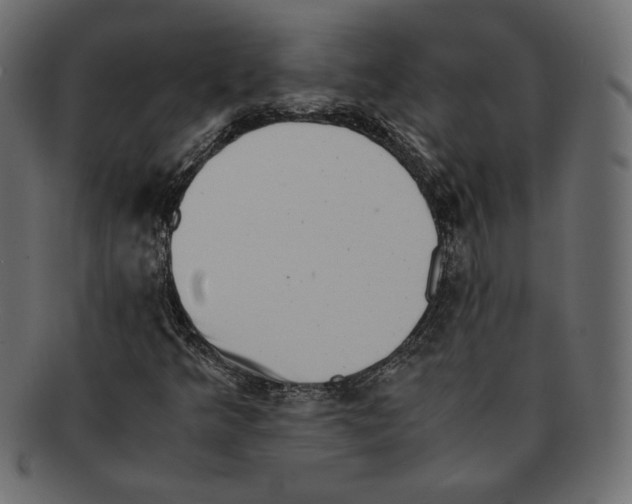 X0000091921349200710031030