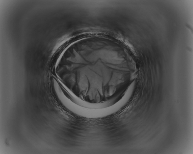 X0000091921352200710031030