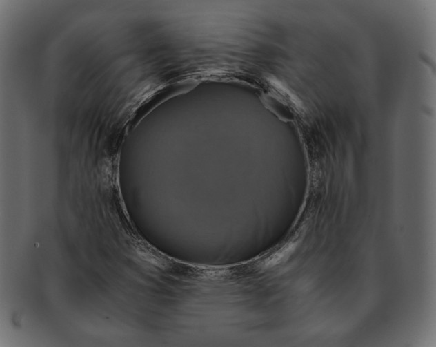X0000091921353200710031030