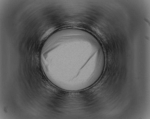 X0000091921354200710031030