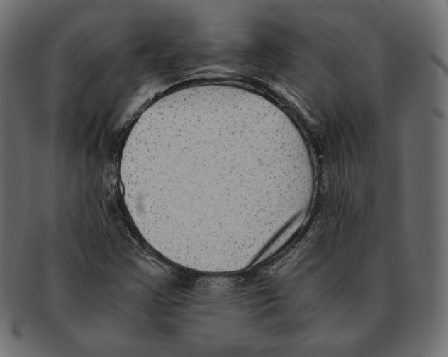 X0000091921355200710031030