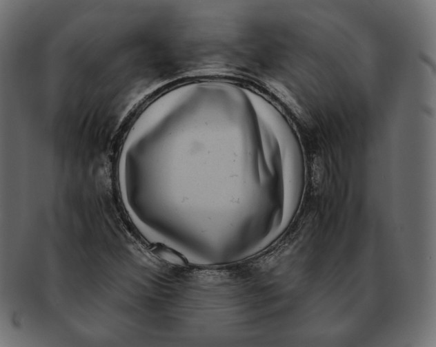 X0000091921356200710031030