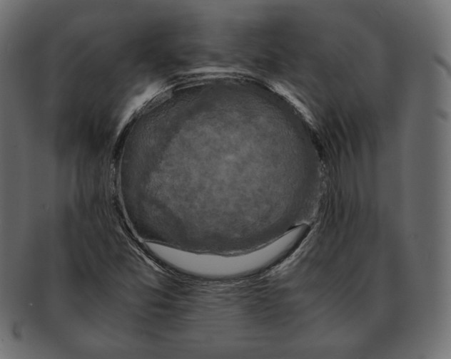 X0000091921357200710031030