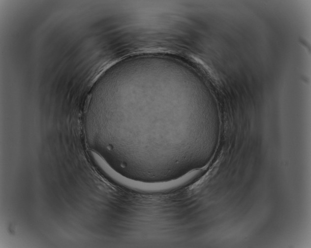 X0000091921361200710031030