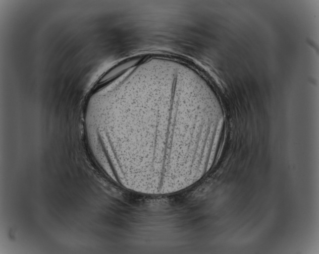 X0000091921363200710031030