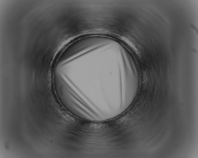 X0000091921364200710031030