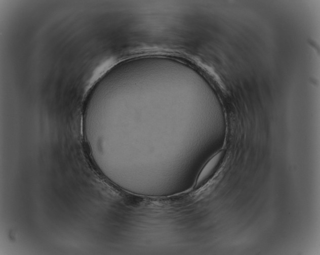 X0000091921365200710031030