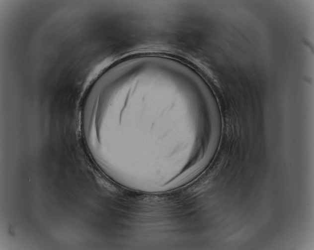 X0000091921366200710031030