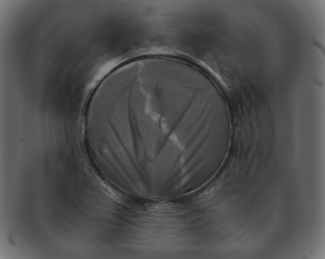X0000091921367200710031030