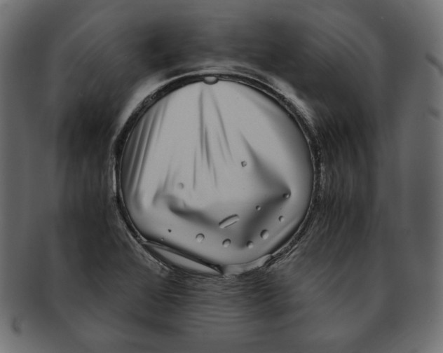 X0000091921368200710031030