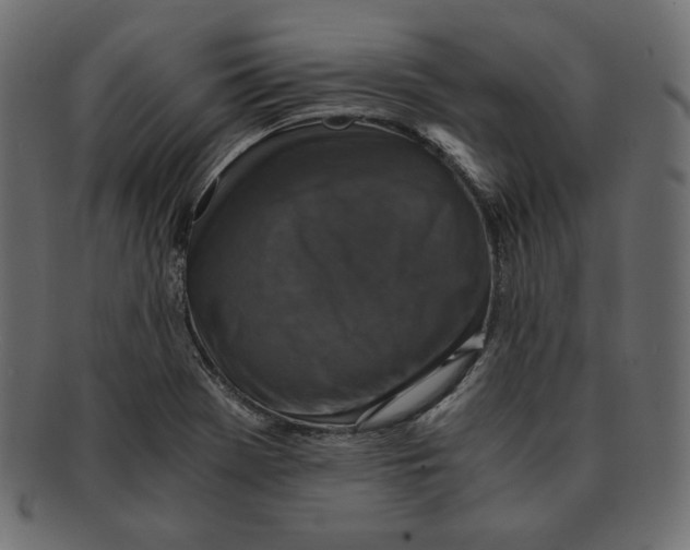 X0000091921369200710031030