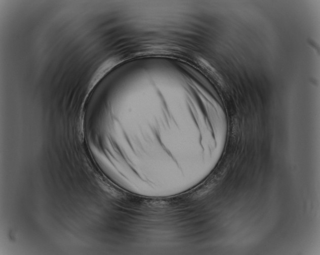 X0000091921370200710031030