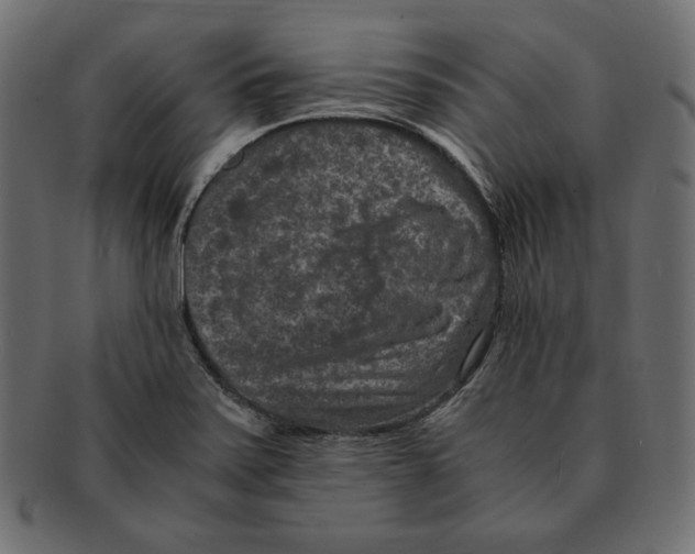 X0000091921371200710031030