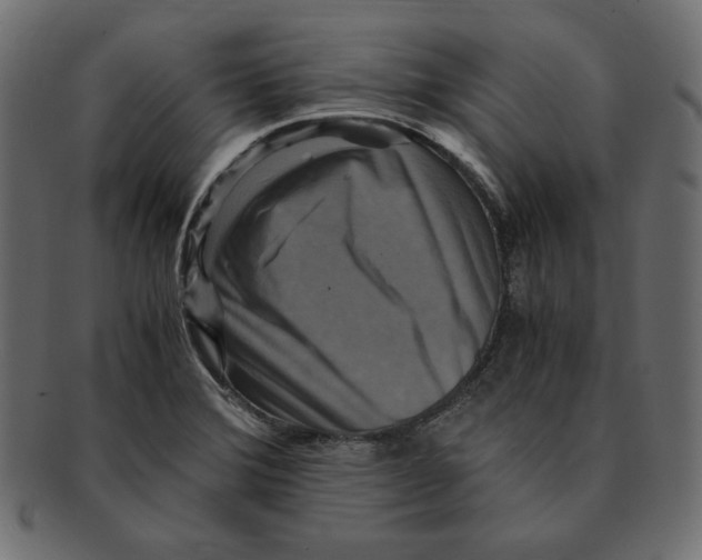 X0000091921372200710031030