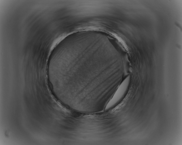 X0000091921373200710031030