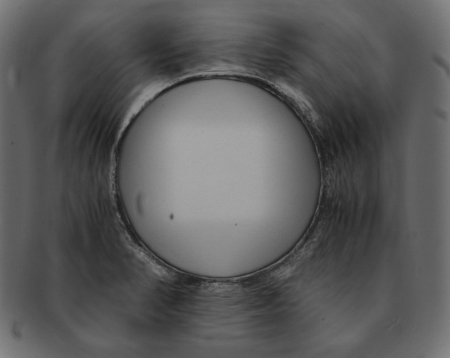 X0000091921374200710031030