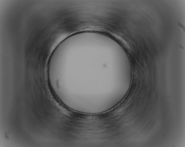 X0000091921375200710031030