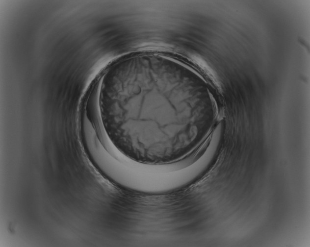 X0000091921376200710031030