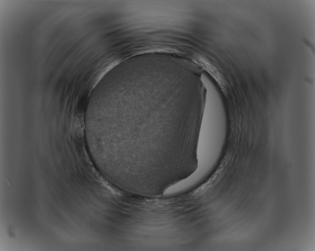 X0000091921377200710031030