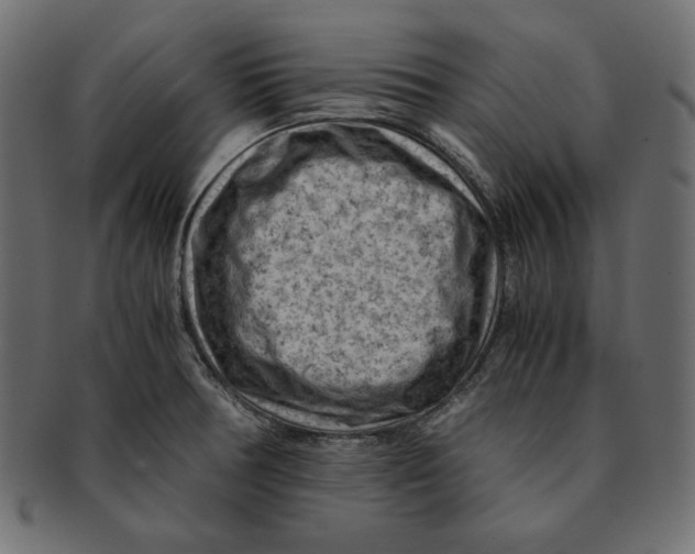 X0000091921378200710031030