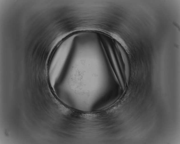 X0000091921380200710031030