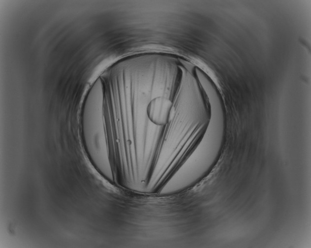 X0000091921381200710031030