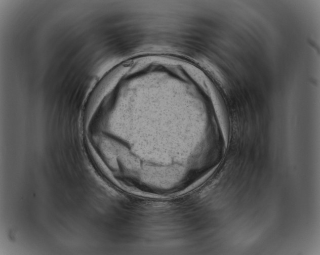 X0000091921382200710031030