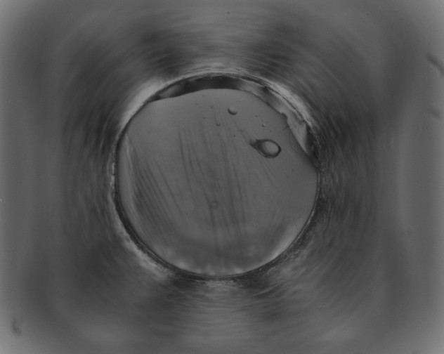 X0000091921383200710031030