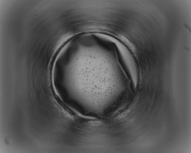 X0000091921384200710031030
